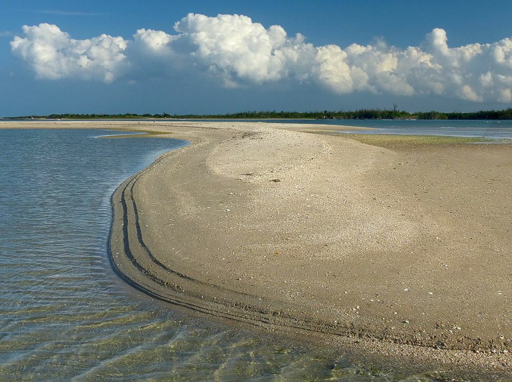 Click to See Next Image